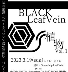 BLACK　LeafVein…