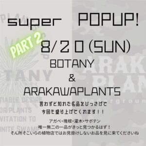 8/20 LeafVein×BOTANY×ARAKAWAPLANTS