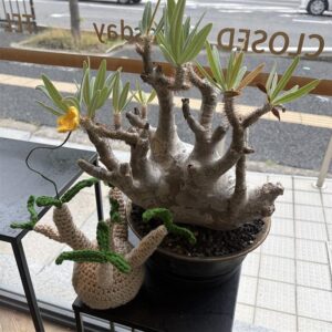 事務員日記　パート１５